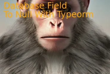 How To Set A Nullable Database Field To Null With Typeorm