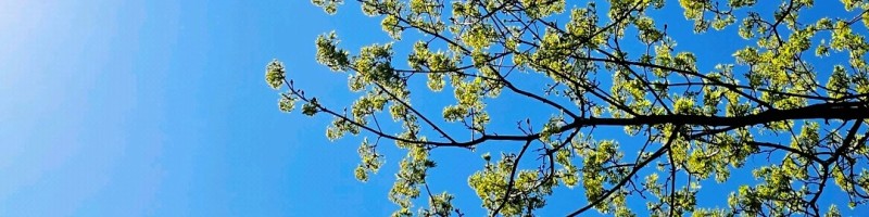 Building Scalable Web Applications: The Complete Guide to TypeScript React