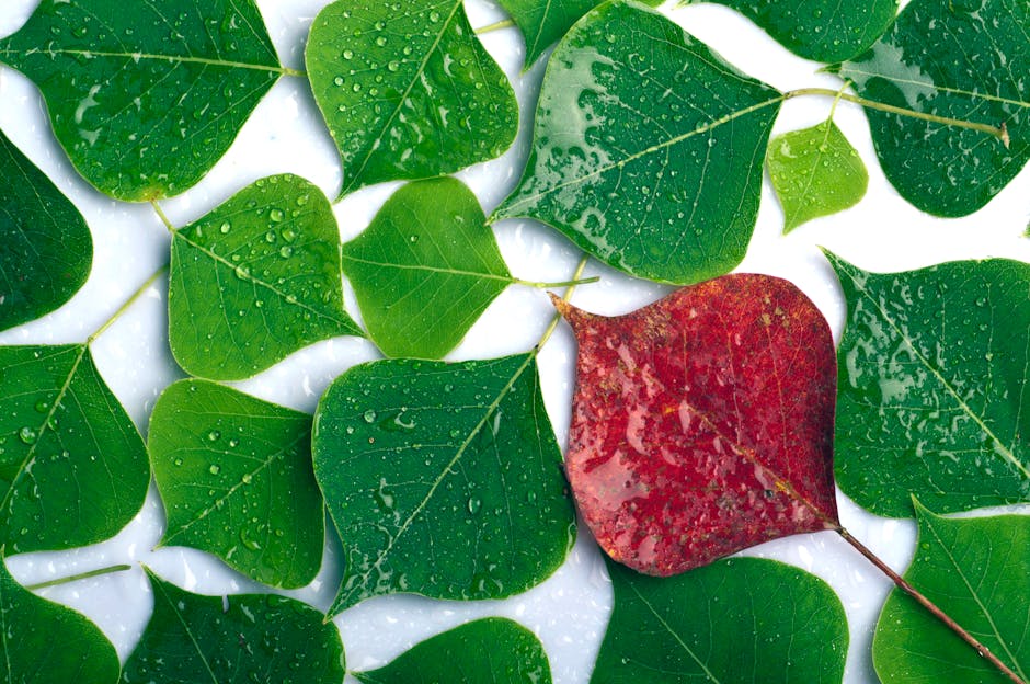 TypeScript Namespaces Are Still a Thing (And It’s Complicated)